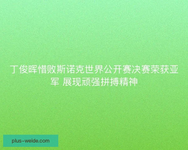 丁俊晖惜败斯诺克世界公开赛决赛荣获亚军 展现顽强拼搏精神